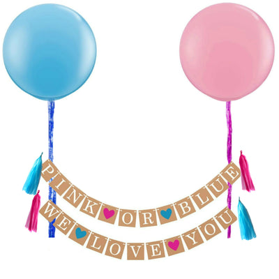 Gender Reveal Baby Shower Decorations, Pink or Blue Banner and Balloons
